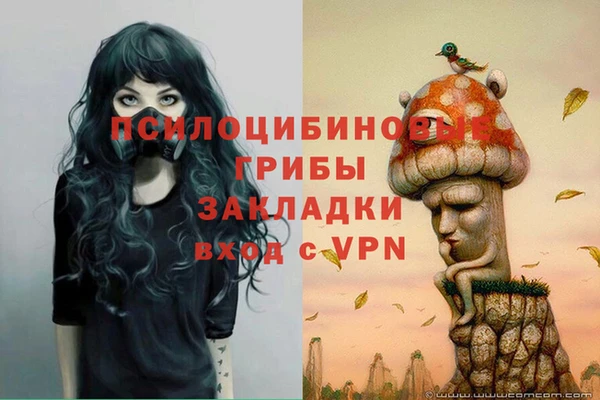 сатива Вязьма